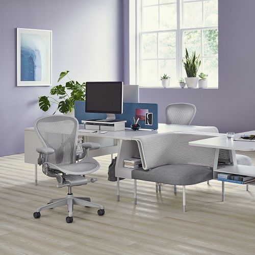 Herman Miller Aeron Environment