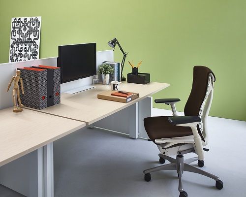 Herman Miller Embody Environment